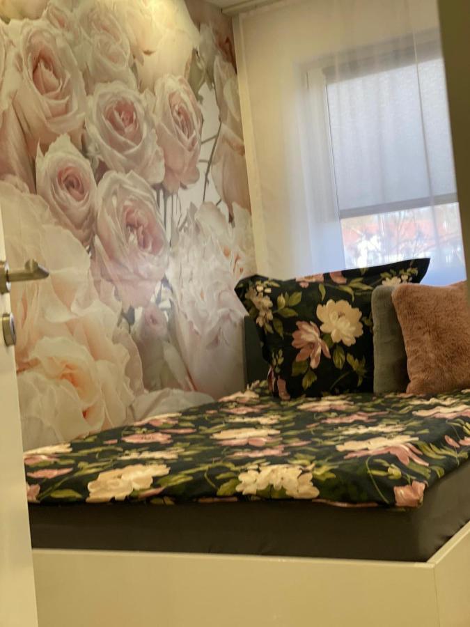 Apartamento Neubauer Vermietung *