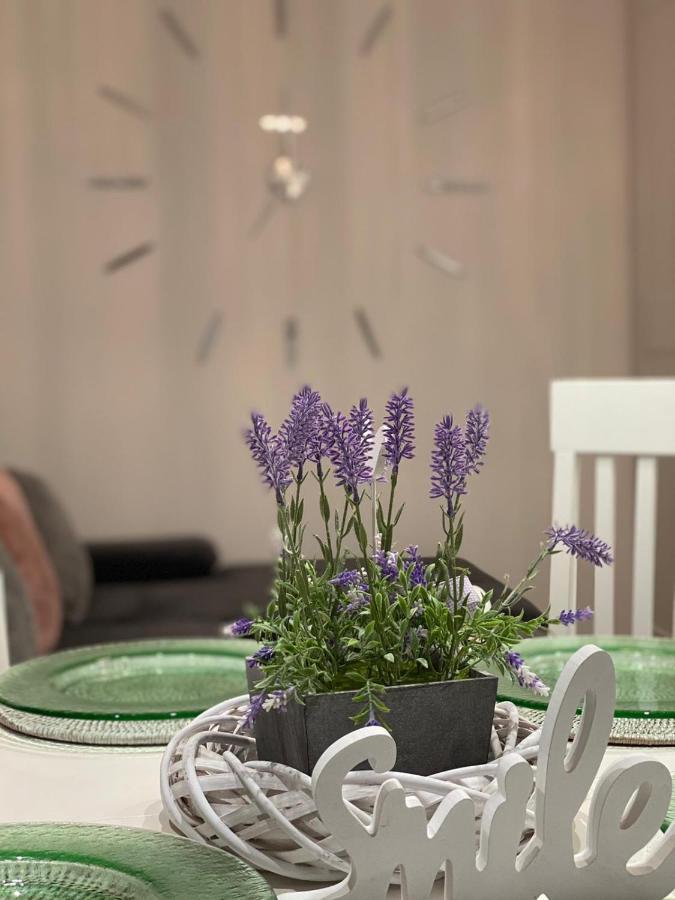 Neubauer Vermietung Appartement *