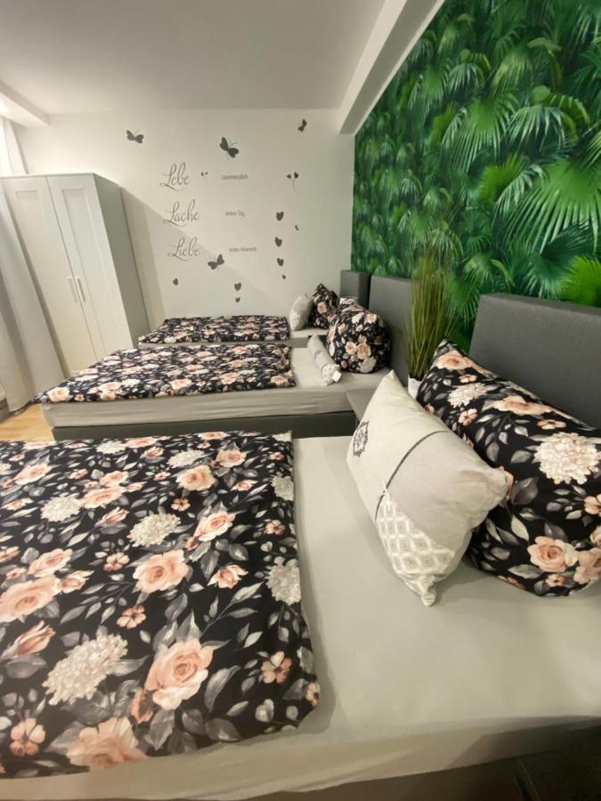 Appartement Neubauer Vermietung